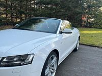 Gebraucht Audi A5 Cabriolet S-Line 179 PS (131 kW) 2010 Weiß Cabrio