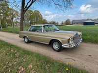 Gebraucht Mercedes 280 1969 Gold Coupé