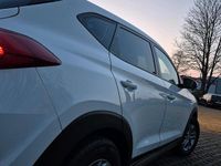 Gebraucht Hyundai Tucson 131 PS (96 kW) 2016 Weiß SUV