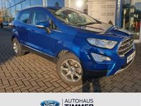 Gebraucht Ford Ecosport Titanium 101 PS (74 kW) 2019 Saphir blau metallic SUV