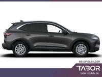 Gebraucht Ford Kuga 243 PS (178 kW) 2024 Bursting green metallic SUV