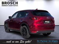 Gebraucht Mazda CX-5 Edition 184 PS (135 kW) 2020 Soul red crystal m SUV
