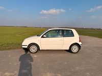 Gebraucht VW Lupo 75 PS (55 kW) 2001 Weiß Kleinwagen