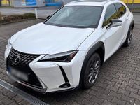 Gebraucht Lexus UX 250h Executive Line 184 PS (135 kW) 2022 Weiß SUV