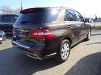 Gebraucht Mercedes ML350 258 PS (189 kW) 2013 Braun SUV
