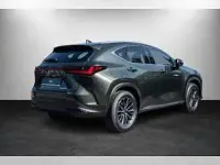 Neu Lexus NX450h+ 292 PS (214 kW) 2026 Grün (grün / norigrün) SUV