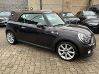 gebraucht Mini Cooper Cabriolet CABRIO*HIGHGATE CHILI*HARMAN-KARDON*LEDER