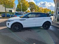 Gebraucht Land Rover Range Rover evoque Dynamic 190 PS (139 kW) 2015 Weiß SUV