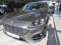Gebraucht Ford Kuga ST-Line 150 PS (110 kW) 2020 Grau SUV