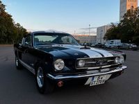 gebraucht Ford Mustang Shelby Fastback Replica *Stroker*