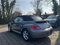 Gebraucht VW Beetle Cabriolet Design 105 PS (77 kW) 2015 Grau Cabrio