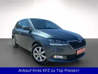 Gebraucht Skoda Fabia Style 95 PS (69 kW) 2020 Grau Kleinwagen