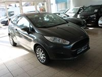 Gebraucht Ford Fiesta Trend 60 PS (44 kW) 2016 Grau Kleinwagen