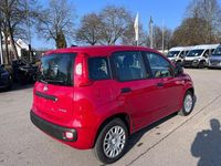 Neu Fiat Panda 65 PS (47 kW) 2026 Rot Kleinwagen