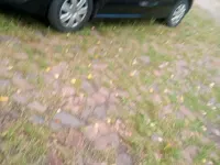 Gebraucht VW Polo 60 PS (44 kW) 2010 Schwarz Kleinwagen