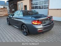 Gebraucht BMW 230 M Sport 252 PS (185 kW) 2021 Grau Cabrio