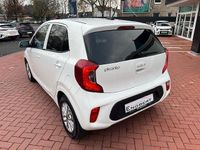 Gebraucht Kia Picanto Vision 67 PS (49 kW) 2023 Weiß Kleinwagen