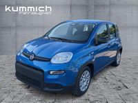 Gebraucht Fiat Panda 69 PS (50 kW) 2024 Blau Kleinwagen