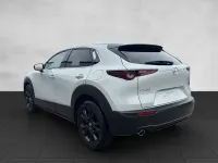 Neu Mazda CX-30 Homura-Line 140 PS (102 kW) 2026 SUV