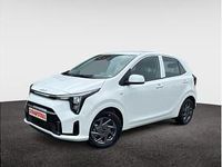 Neu Kia Picanto Vision 68 PS (50 kW) 2025 Weiß (clear white) Kleinwagen