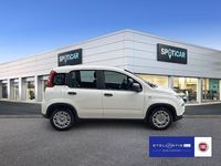 Gebraucht Fiat Panda 69 PS (50 kW) 2024 Gelato weiß Kleinwagen