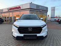 Neu Honda CR-V Elegance 148 PS (108 kW) 2025 Platinum white pearl SUV