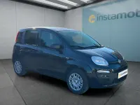 Neu Fiat Panda Icon 65 PS (47 kW) 2026 Schwarz Kleinwagen