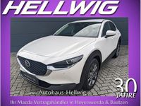 Neu Mazda CX-30 Exclusive 186 PS (136 kW) 2025 Weiß SUV