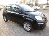 Gebraucht Fiat Panda Easy 69 PS (50 kW) 2019 Schwarz Kleinwagen
