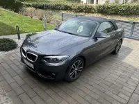 Gebraucht BMW 218 150 PS (110 kW) 2019 Grau Cabrio