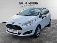 Gebraucht Ford Fiesta Trend 101 PS (74 kW) 2015 Weiß Kleinwagen