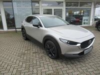 Gebraucht Mazda CX-30 Homura-Line 140 PS (102 kW) 2025 Platinum quartz m SUV