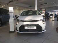 Neu Kia Picanto Edition 7 63 PS (46 kW) 2025 Weiß Kleinwagen