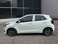 Neu Kia Picanto Vision 79 PS (58 kW) 2025 Clear white (weiss) Kleinwagen