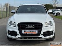 Gebraucht Audi SQ5 Competition 326 PS (239 kW) 2017 Weiß SUV