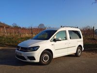 Gebraucht VW Caddy Trendline 102 PS (75 kW) 2019 Weiß Van / Kleinbus