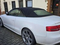 Gebraucht Audi S5 333 PS (244 kW) 2009 Coupé