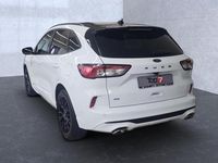 Gebraucht Ford Kuga ST-Line X 120 PS (88 kW) 2023 Frostweiß SUV