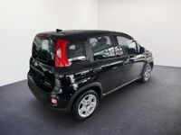 Gebraucht Fiat Panda 69 PS (50 kW) 2024 Schwarz schwarz Kleinwagen