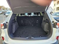 Gebraucht Ford Kuga Titanium X 224 PS (164 kW) 2021 Frozen white SUV