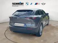 Gebraucht Mazda CX-30 Selection 122 PS (89 kW) 2023 (grau)  machine grey SUV