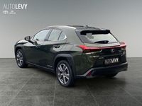 Gebraucht Lexus UX 300e Luxury Line 150 kW (204 PS) 2021 Grün SUV