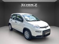 Gebraucht Fiat Panda 69 PS (50 kW) 2024 Gelato weiß Kleinwagen