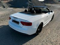 gebraucht Audi A5 Cabriolet 2.0 TDI quattro S-Line 20 Zoll