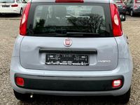 Gebraucht Fiat Panda 69 PS (50 kW) 2022 Grau Limousine
