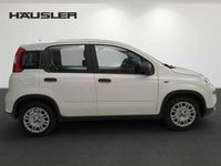 Gebraucht Fiat Panda 69 PS (50 kW) 2024 Weiß Limousine