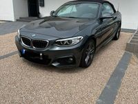 gebraucht BMW 220 d Cabrio 2er M Pakete