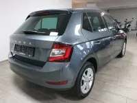 Gebraucht Skoda Fabia Ambition 110 PS (80 kW) 2020 Grau Kleinwagen