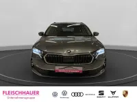 Gebraucht Skoda Octavia Selection 150 PS (110 kW) 2025 Grau Kombi
