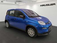 Gebraucht Fiat Panda 69 PS (50 kW) 2024 Blau Kleinwagen